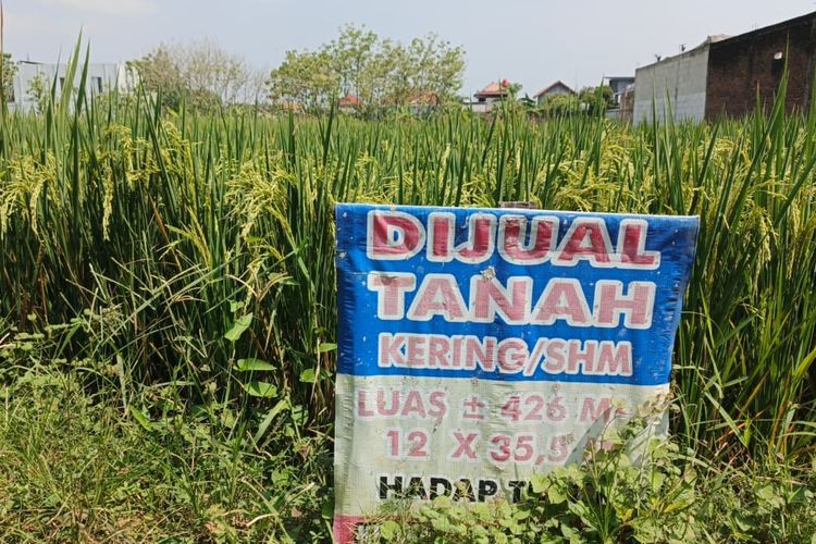 Beli Tanah Tapi Masih AJB, Amankah?