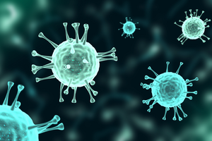 Superflu Menyebar Cepat, Bagaimana Tingkat Bahayanya?