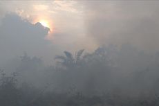 Kabut Asap Pekat Karhutla Riau Selimuti Permukiman,  Warga Mulai Sesak Napas dan Mengungsi