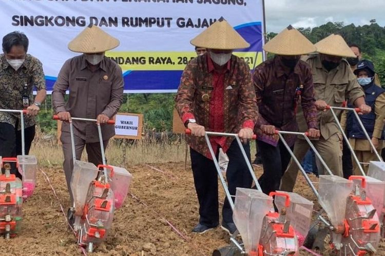 Wakil Gubernur Kaltim Hadi Mulyadi, saat kunjungan peluncuran program Integrated Farming System (IFS) ke Desa Bendang Raya, Kecamatan Tenggarong, Kutai Kartanegara, pada Selasa (28/12/2021). 