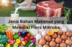 Jenis Bahan Makanan yang Mengandung Flora Mikroba