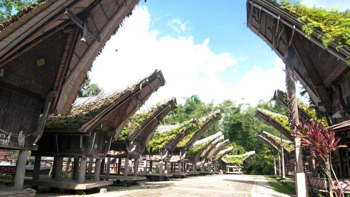 7 Cerita Rakyat Toraja Singkat yang Penuh Pesan Moral dan Nilai Budaya - Kompas.com