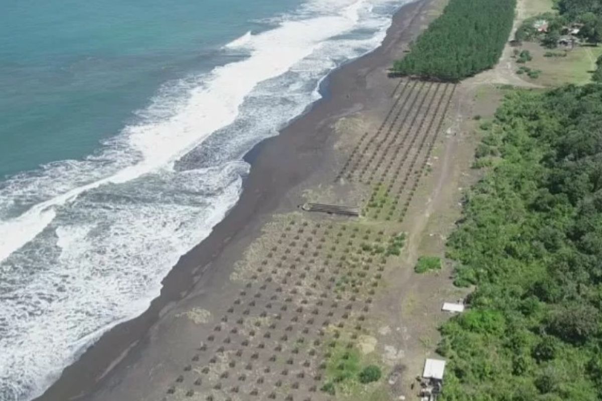 Pesisir selatan Tasikmalaya, Jawa Barat.