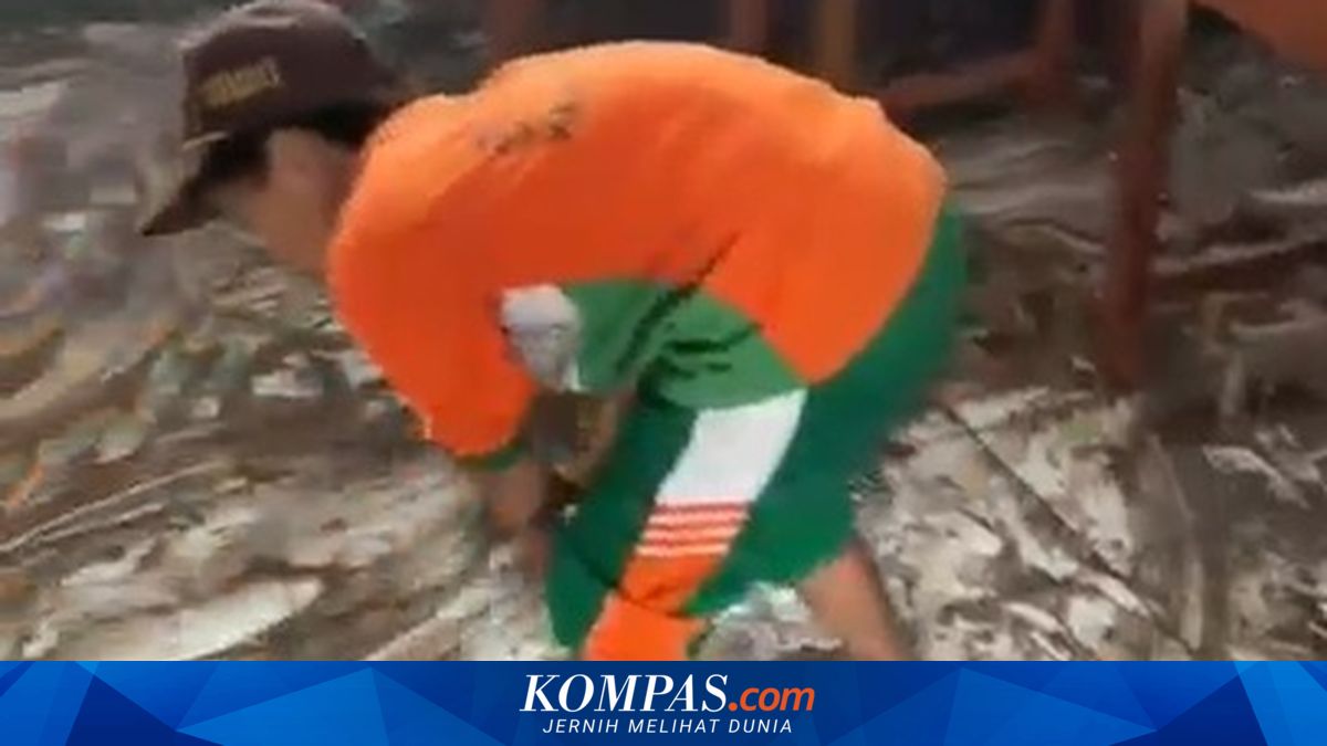 Siswa dan Guru SDN 1 Balonggebang Nganjuk Gotong Royong Bersih-bersih Usai Banjir

Klik untuk baca: