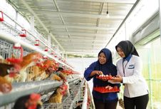 Setahun Hadir di Tengah Masyarakat, Program Ketahanan Pangan PNM Bantu Warga Penuhi Gizi dan Kebutuhan Pangan