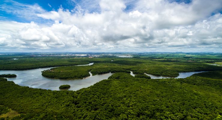 Daftar Wilayah yang Memiliki Iklim Af atau Iklim Hutan Hujan Tropis