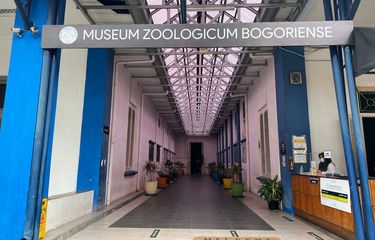 Koleksi Unik Museum Zoologi Bogor, Ada Kerangka Raksasa Seberat 64 ...