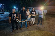 Bantuan 1.000 Genset ESDM Belum Sampai ke Dusun Sejahtera Aceh, Warga: Kami Gelap Gulita 35 Hari