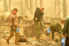 14 Jenazah Ditemukan, Korban Tewas Kebakaran di California Jadi 23 Orang