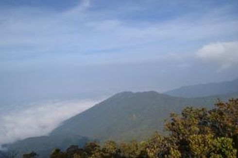 Dari Jalan Raya hingga Gunung, 