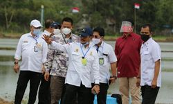 AUTP Minimalisasi Kerugian Gagal Panen bagi Petani di Sumbawa Barat 