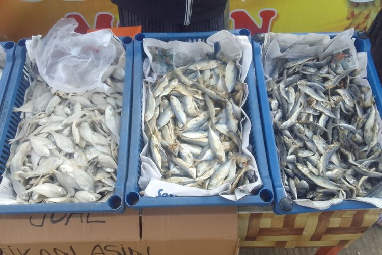 Ramai di Media Sosial, Benarkah Konsumsi Ikan Asin Bisa Bikin Kanker?