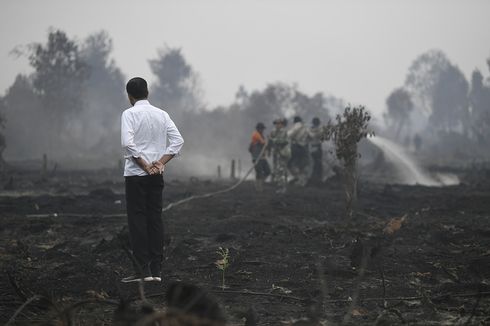 Kunjungan Jokowi di Riau, Rapat hingga Tinjau Lokasi Kebakaran Hutan