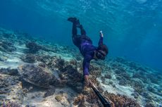 Itinerary Snorkeling di Gili Trawangan Tanpa Menginap, Pagi sampai Sore