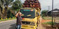 Harga Sawit di Pessel Sumbar Anjlok Jadi Rp 700 per Kg, Petani Minta Pemerintah Turun Tangan