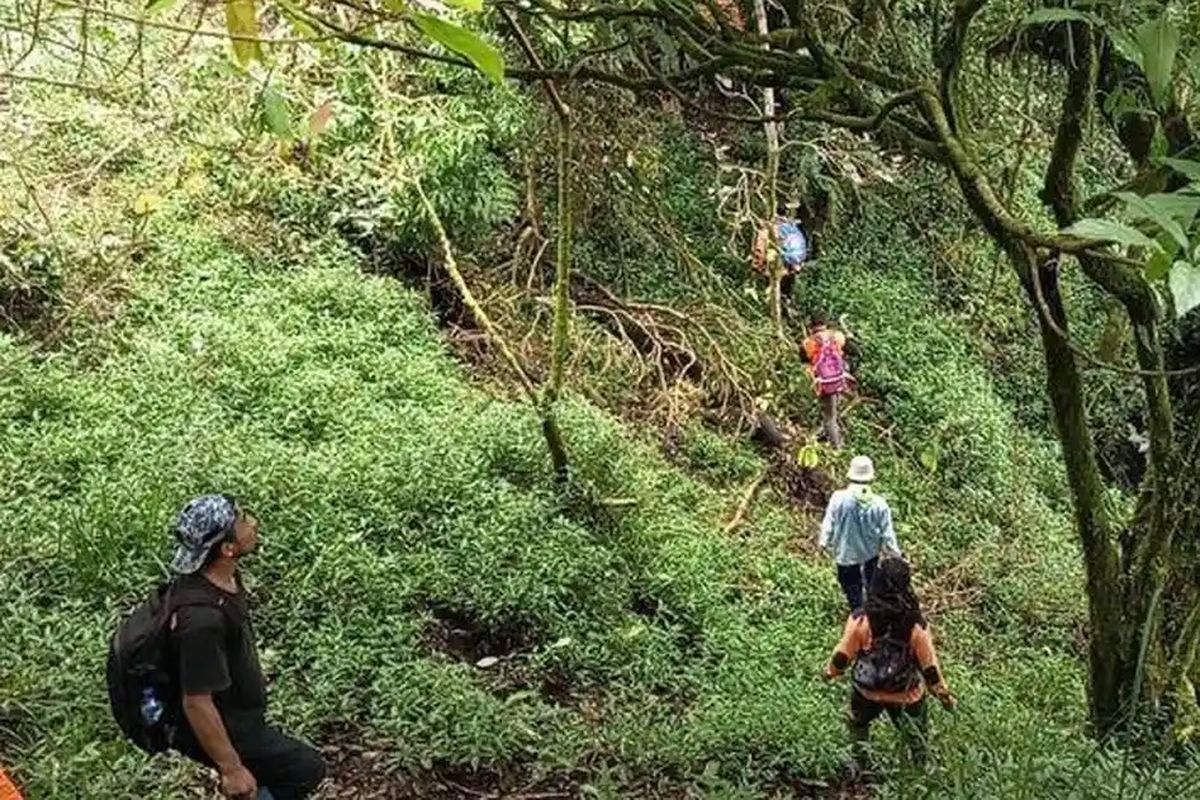 Perjuangan Tim SAR Cari Yazid di Bukit Mongkrang: Terjebak Sarang Babi  Hingga Hadapi Badai