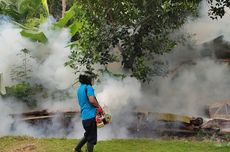 Kasus DBD di Demak Tinggi, Bupati Ingatkan Masyarakat Fogging Bukanlah Solusi Efektif 