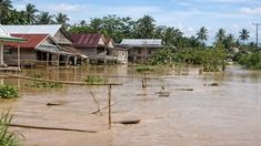 Tanggul Sungai Rongkong Jebol, Banjir Terbesar 2026 Rendam Permukiman Warga di Luwu Utara