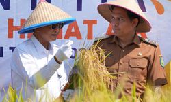 Menteri PU Tegaskan Komitmen Pemerintah Dorong Penerapan IPHA untuk Dukung Swasembada Pangan