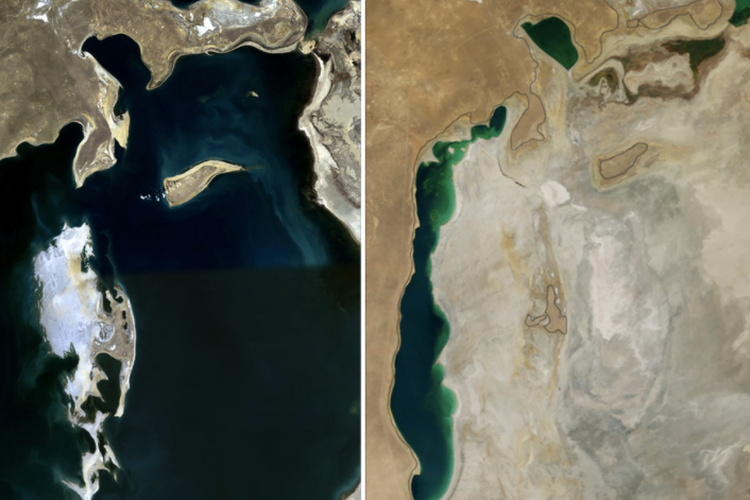 Laut Aral pada tahun 1989 (kiri) dan 2014 (kanan)