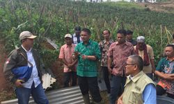 Wajib Tanam Importir Bawang Putih Dilanjutkan