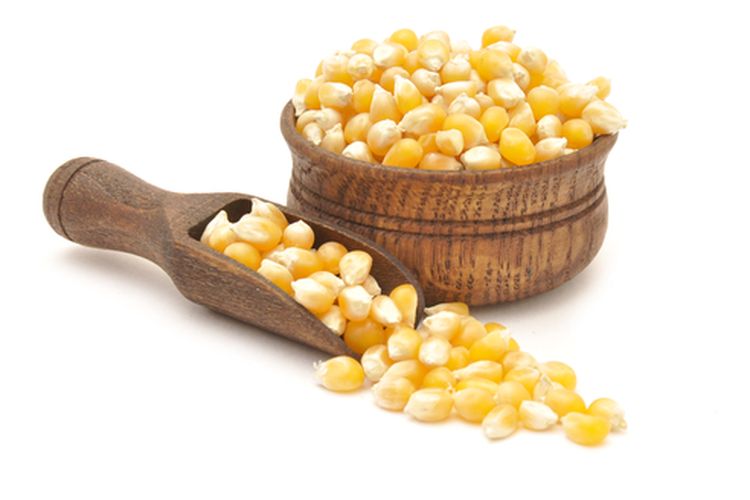 Ilustrasi benih jagung