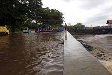 Endapan Lumpur Banjir Bakal Rusak Karang di Bunaken