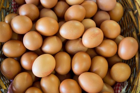 5 Manfaat Konsumsi Telur Setiap Hari, Apa Saja?