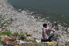 Ribuan Ikan Mati di Danau yang Tercemar di India