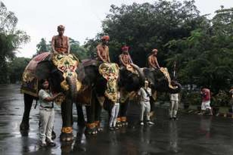 Gajah Sumatera mengikuti prosesi upacara HUT ke-71 Kemerdekaan RI di Bali Safari & Marine Park.