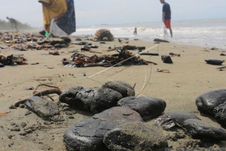 Sejumlah warga mengumpulkan batu bara yang mencemari kawasan pesisir pantai di Desa Peunaga Rayeuk, Kecamatan Meureubo, Aceh Barat, Aceh, Selasa (14/3/2023). 