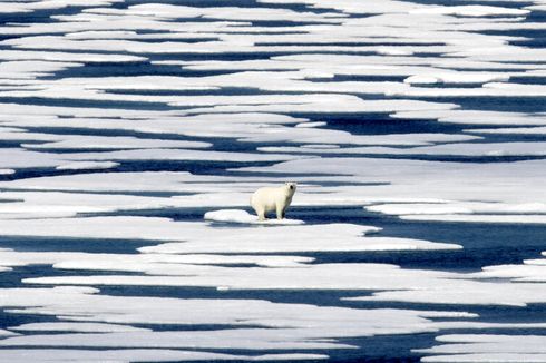 Antarctic Peninsula Warmest in Decades Due to Accelerating Ocean Warming