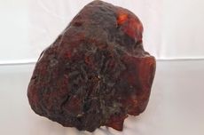 Tiga Perancang Demo Rusuh di Jakarta Diduga Incar Kantor Polisi dan Gedung DPR