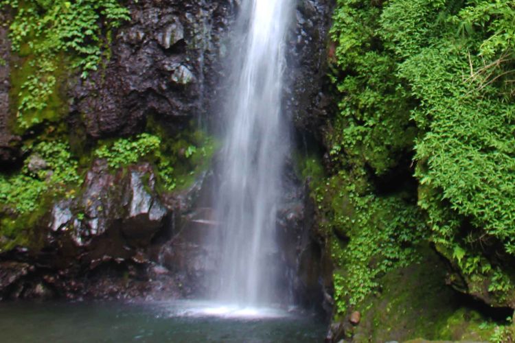 Rute Menuju Air Terjun Kakek Bodo Pasuruan dari Surabaya