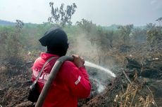 Karhutla di Indragiri Hulu Riau, Petugas Kesulitan Padamkan Api karena Banyak Asap