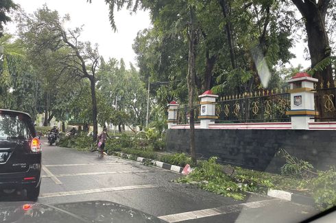 Akibat Hujan Badai, Pohon Tumbang di Dekat Stasiun Kalibata