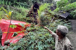 Sinkhole Muncul di Pekarangan Warga Kulon Progo, Diameter Capai 5 Meter