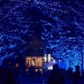 Pemerintah Tokyo Tutup Area Terbuka untuk Olimpiade Tokyo