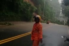 Pohon Tumbang Tutup Badan Jalan di Ambon, Arus Kendaraan Macet hingga 3 Kilometer