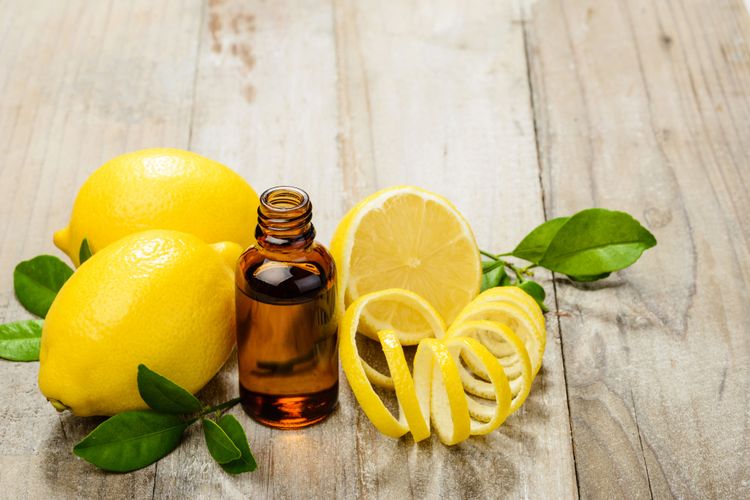 Ilustrasi minyak esensial lemon 