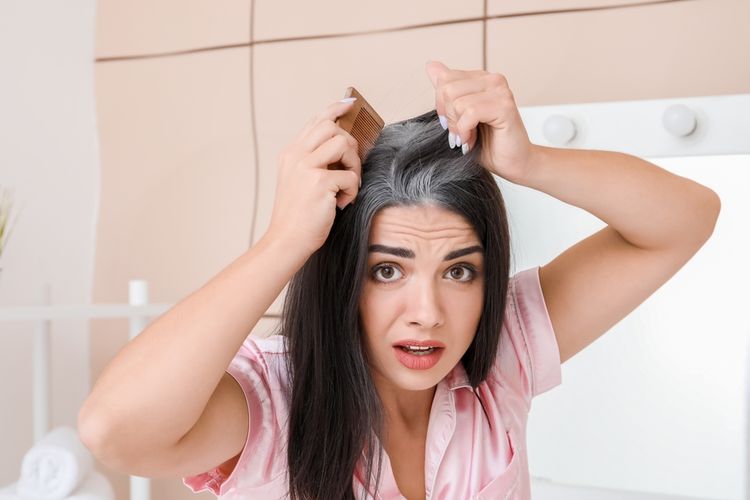 Salah satu alasan kenapa rambut uban tidak boleh dicabut adalah karena akan menyebabkan kebotakan.