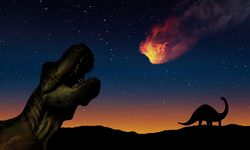 Bagaimana Mamalia Bertahan Setelah Tabrakan Asteroid yang Memusnahkan Dinosaurus