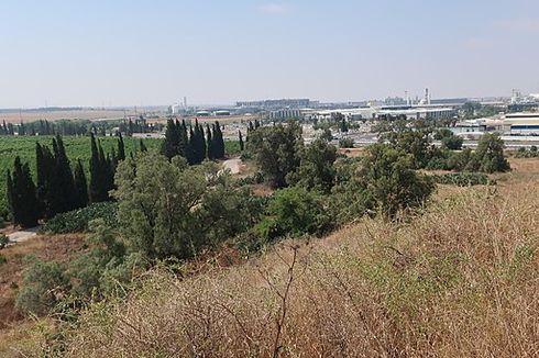 Gerbang Kota Kuno Tertua Ditemukan di Israel, Ini Fungsinya di Zaman Perunggu Awal