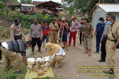 Heboh Penemuan Kerangka Manusia Utuh di Perbukitan Hutan Jepara