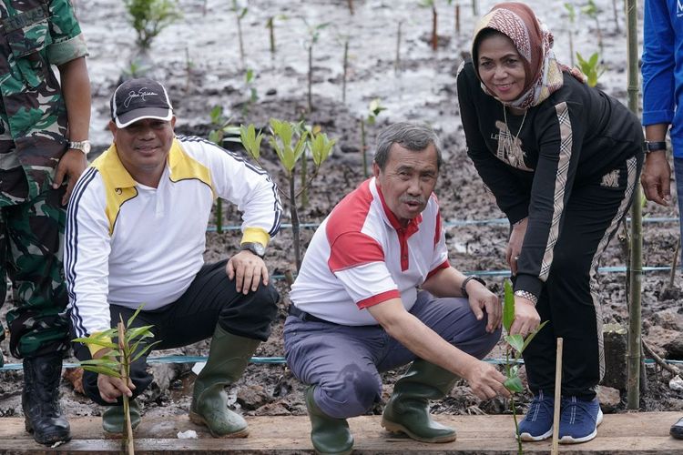 Gubernur Riau Syamsuar mencanangkan penanaman 200.000 bibit mangrove di Desa Buruk Bakul, Kecamatan Bukit Batu, Kabupaten Bengkalis, Selasa (26/7/2022).