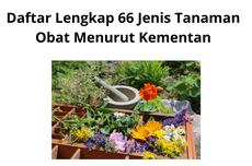 Daftar Lengkap 66 Jenis Tanaman Obat Menurut Kementan