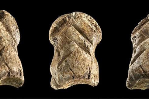 Ukiran Tulang Rusa Raksasa Jadi Bukti Baru Kemampuan Kompleks Neanderthal