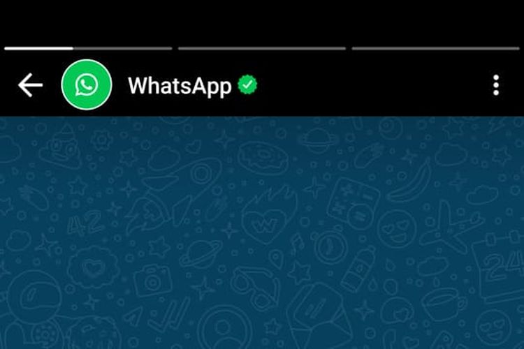 Status WhatsApp terkait fitur baru gabung panggilan grup yang tidak terjawab