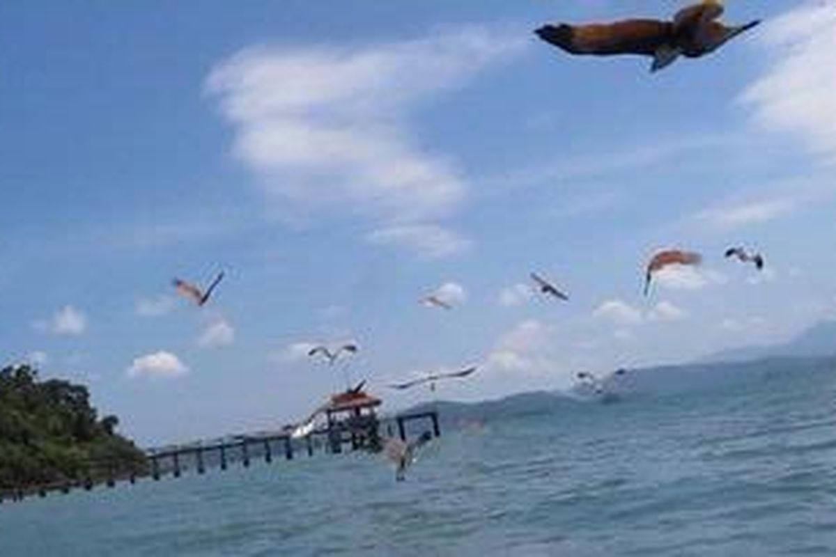 Kegiatan memberi makan burung elang di Pulau Elang sudah lama dijadikan salah satu obyek wisata andalan Langkawi.