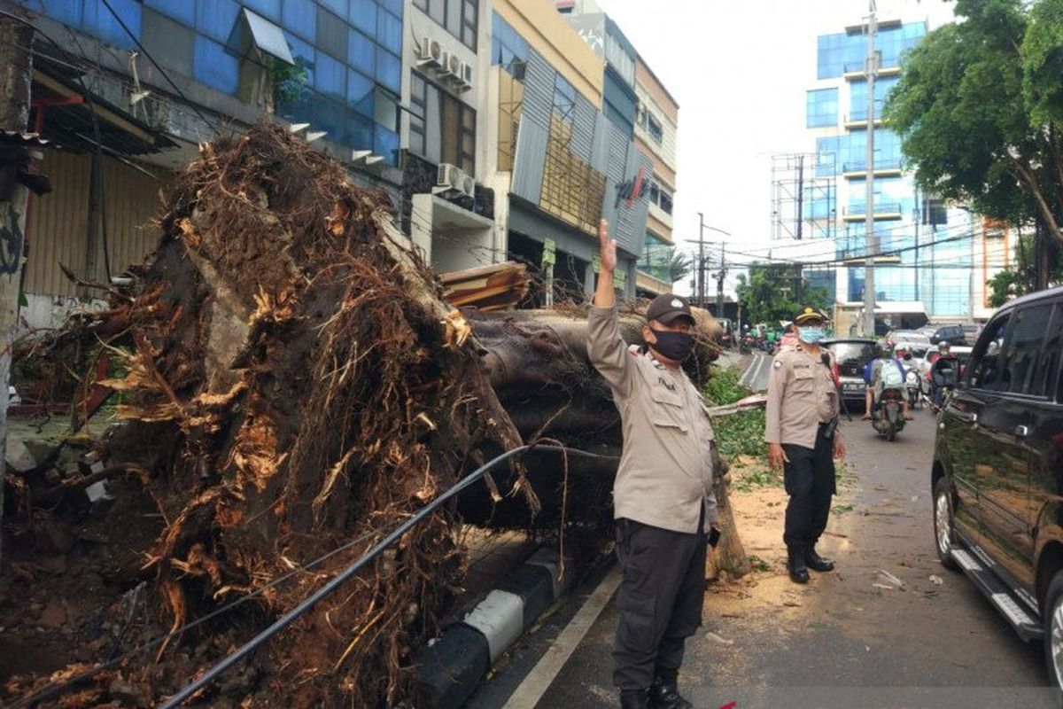 Petugas Kepolisian mengatur arus lalu lintas di Jalan Bintaro Raya, Kebayoran Lama, Jakarta Selatan, saat terjadi pohon tumbang, Minggu (11/4/2021).
